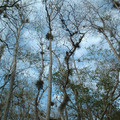 DSCF0035b.jpg