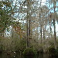 DSCF0046.JPG