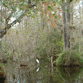 DSCF0053C.JPG