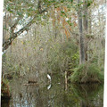 DSCF0053b.jpg