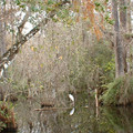 DSCF0054.JPG
