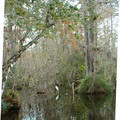 DSCF0055b.jpg