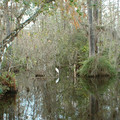 DSCF0056c.jpg