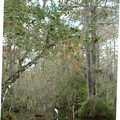 DSCF0057b.jpg
