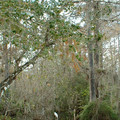 DSCF0057c.jpg
