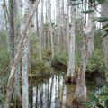 DSCF0074.JPG
