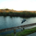 DSCF0002.JPG
