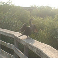 DSCF0003.JPG