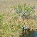 DSCF0004.JPG