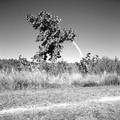 DSCF0004r160.jpg