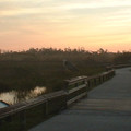 DSCF0011.JPG