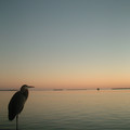 DSCF0012.JPG