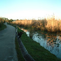 DSCF0013.JPG
