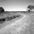 DSCF0014rrg-10.jpg