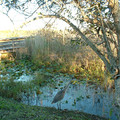 DSCF0016 (3).JPG