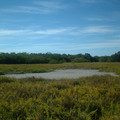 DSCF0016.JPG