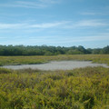 DSCF0016b.JPG