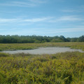 DSCF0016c.JPG