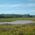 DSCF0016d.JPG