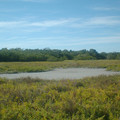 DSCF0016e.JPG