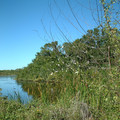 DSCF0018.JPG