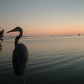 DSCF0020.JPG