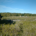 DSCF0021.JPG
