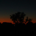 DSCF0022.JPG