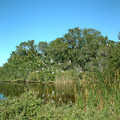 DSCF0022b.jpg