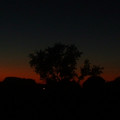 DSCF0023.JPG