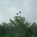 DSCF0023e.jpg