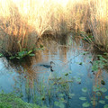 DSCF0024 (3).JPG