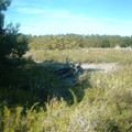 DSCF0024.JPG