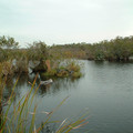 DSCF0025.JPG