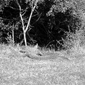 DSCF0026_b.jpg