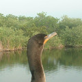 DSCF0027.JPG