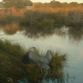 DSCF0028.JPG