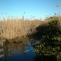 DSCF0030.JPG