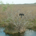 DSCF0035.JPG