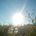 DSCF0036C.jpg
