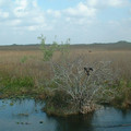 DSCF0037.JPG