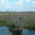 DSCF0038.JPG