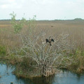 DSCF0039.JPG