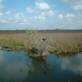 DSCF0042.JPG