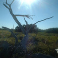 DSCF0043.JPG