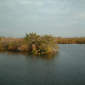 DSCF0049.JPG