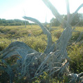 DSCF0049_950.jpg