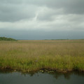 DSCF0050 (2).JPG