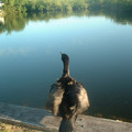 DSCF0050.JPG