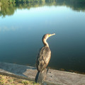 DSCF0051.JPG